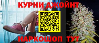 молекула духа Будённовск