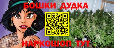 молекула духа Будённовск