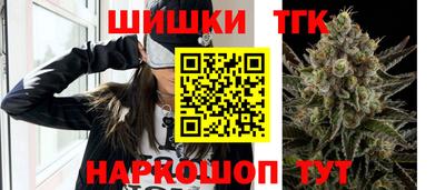 молекула духа Будённовск